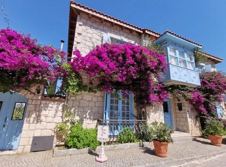 Asma Han Alacati Çeşme